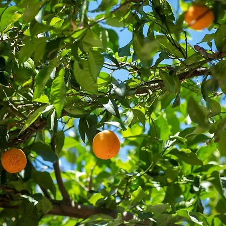 Sea Rocks 4* 두브로브니크